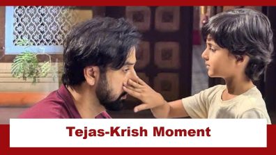 Udne Ki Aasha Upcoming Twist: Tejas gets emotional; Krish cheers him up