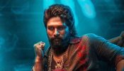 Allu Arjun Arrested Over Stampede At Pushpa 2 Premiere In Hyderabad 929311