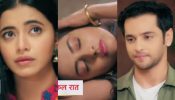 Anupamaa Written Update 17 December 2024: Prem Lies He Is Orphan, Anupama Finds Someone Related To Her 929553