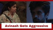 Bigg Boss 18: Eisha Singh's confrontation provokes Avinash Mishra; Avinash gets aggressive in his anger 930343