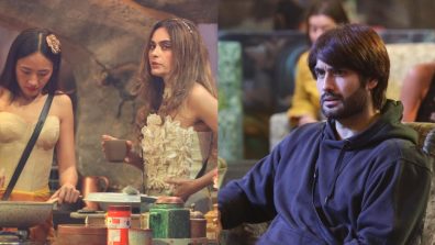 Bigg Boss 18: Vivian Dsena And Chum Darang Indulge In Fiery Fight Over Contribution, Kashish Kapoor Surprises