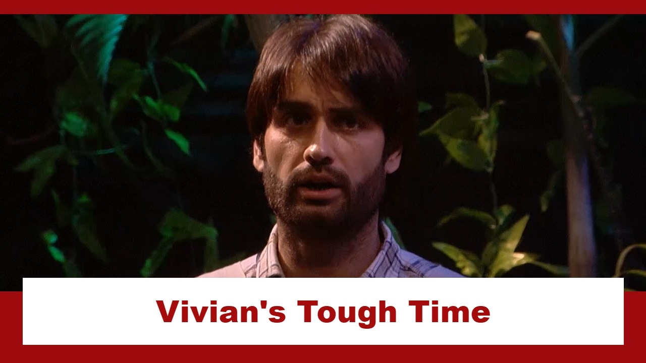 Bigg Boss 18: Vivian Dsena on the receiving end in the 'nomination' episode; how will Vivian bounce back this week? 928686