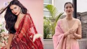 Desi Vs Videshi: Tara Sutaria's Floral Embellished Or Shanaya Kapoor's Banarasi: Whose Lehenga Look Is Best? 928048