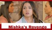 Dil Ko Tumse Pyaar Hua Upcoming Twist: Chirag refuses to marry Mishka; Mishka takes revenge 929121