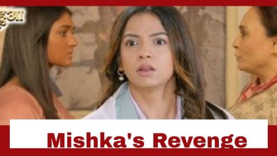 Dil Ko Tumse Pyaar Hua Upcoming Twist: Chirag refuses to marry Mishka; Mishka takes revenge