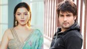 Rubina Dilaik Offers Strong Support To Vivian Dsena Amid Bigg Boss 18 Drama 928768