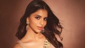 Suhana Khan Raises Hotness In Deep Neck Blouse And Shimmery Saree Look; Fans Go Crazy