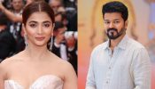 Thalapathy 69: Pooja Hegde and actor Vijay call it wraps at midnight, see photo 930128