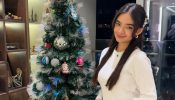 Anushka Sen Captures Christmas Spirit with a Chic Aesthetic Outfit 931636