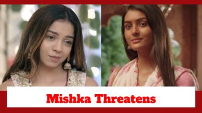 Dil Ko Tumse Pyaar Hua Upcoming Twist: Mishka threatens Deepika; Will Deepika expose Mishka now?