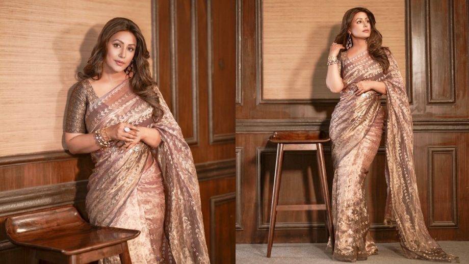 Hina Khan Effortlessly Rocks Her Desi Charm In A Coffee Brown Sheer Saree With Huge Dangles 931537