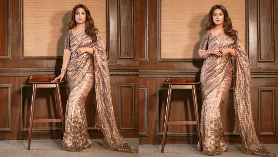 Hina Khan To Erica Fernandes: Celebs Who Slay Sheer Saree Trend 932883