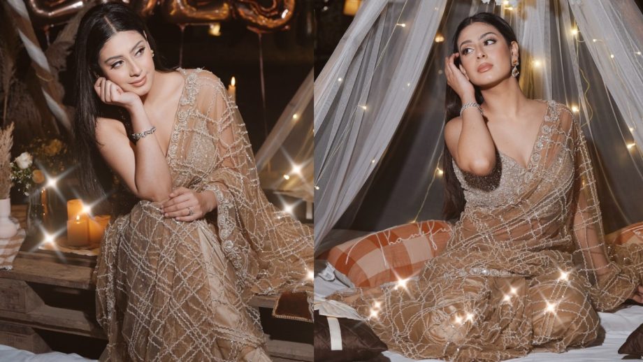 Isha Malviya Stuns in a Shiny Silver-Brown Saree with Modern Glamour 933127