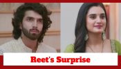 Jaane Anjaane Hum Mile Upcoming Twist: Reet's surprise to Raghav goes wrong; Will Raghav recover from this setback? 933639