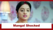 Mangal Lakshmi Upcoming Twist: Mangal shocked to see Kusum in mental asylum; Will Mangal confront Adit? 934229