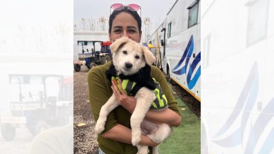 Mona Singh and team of Kohrra season 2 have a little puppy on the sets! Deets Inside!