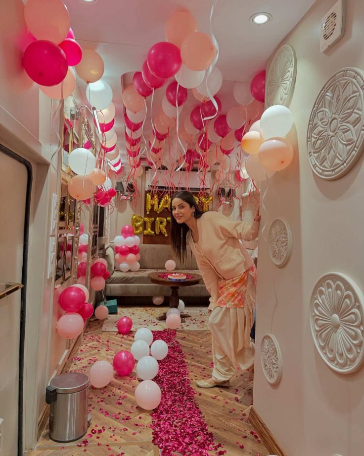 Shehnaaz Gill Showed Her Fans a Glimpse Of Her Stunning Birthday Bash In Her Vanity; Check Pics 934468