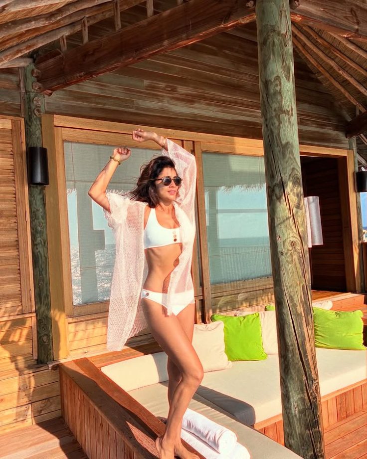 Shriya Saran Turns Up the Heat In Bikini On Holiday, Pics Go Viral 932525