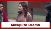 Udne Ki Aasha Upcoming Twist: Mosquito drama in the house; Ria creates ruckus 933262