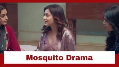 Udne Ki Aasha Upcoming Twist: Mosquito drama in the house; Ria creates ruckus