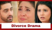 Yeh Rishta Kya Kehlata Hai Upcoming Twist: OMG!! Vidya gets arrested; Armaan divorces Abhira 931772