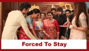 Anupamaa Upcoming Twist: Kothari family forced to stay longer in Shah house; Will differences increase? 936593