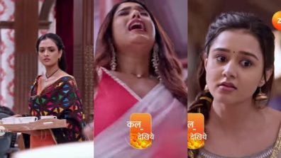 Bhagya Lakshmi Written Update 16 February 2025: Rishi Tries To Make Lakshmi Jealous, Guru Maa Exposes Malishka