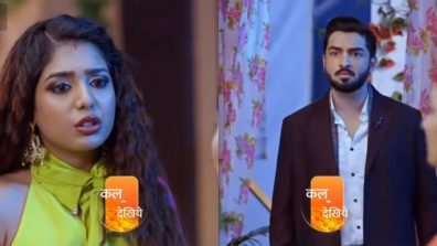 Bhagya Lakshmi Written Update 9 February 2025: Guru Maa Exposes Malishka, Rishi Shocked