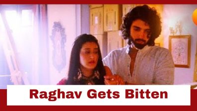 Jaane Anjaane Hum Mile Upcoming Twist: Raghav saves Reet; gets bitten by the snake