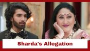 Jaane Anjaane Hum Mile Upcoming Twist: Sharda throws a big allegation at Reet; Will Raghav defend her? 935729