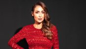 Malaika Arora Looks Red Hot In Backless Fishtail Gown- See Viral Photos 936935