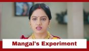 Mangal Lakshmi Upcoming Twist: Mangal gets complimented for her experiment with food; Saumya gets jealous 936879