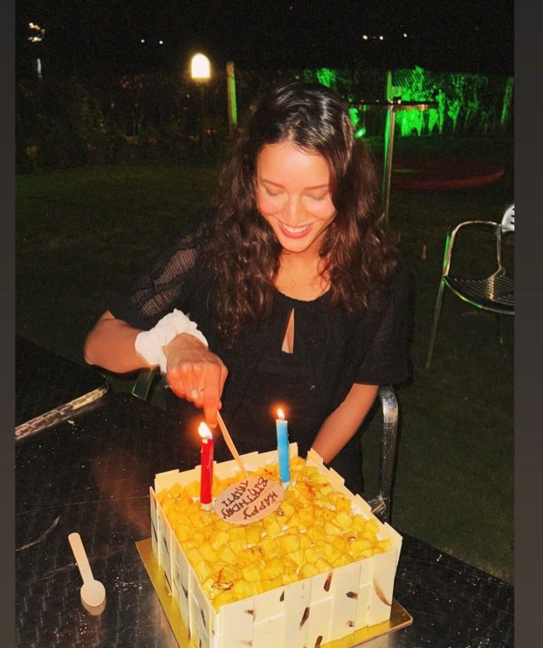 Triptii Dimri Celebrates Birthday With Rumored BF Sam Merchant, Shares Adorable Photos 938353