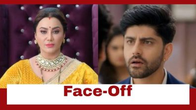 Vasudha Upcoming Twist: Vasudha succeeds in bringing Chandrika and Dev for the interview; Will the bigger plan work out?