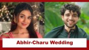 Yeh Rishta Kya Kehlata Hai Upcoming Twist: Dadisa gives her consent for Abhir-Charu wedding; Kiara faces a heartbreak 935456