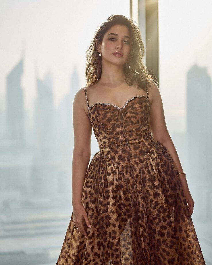 3 Times Tamannaah Bhatia Proved She Is A Modern Day Princess In Gowns 939914