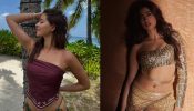 Ananya Panday & Janhvi Kapoor Set The Internet On Fire, Flaunting Their Sizzling Midriff 940268