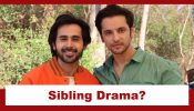 Anupamaa Update: Will Ranndeep R Rai's entry kickstart a sibling drama in the show with Prem? 941733