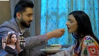 Bhagya Lakshmi Written Update 16 March 2025: Rishi Takes Care Of Lakshmi As She Comes Home – Will Malishka Give Up?