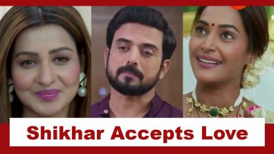 Bas Itna Sa Khwaab Upcoming Twist: Avani stops Shikhar-Tamanna wedding; Shikhar accepts his love for Tamanna