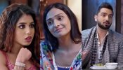 Bhagya Lakshmi Serial Spoiler: Rishi & Aayush Catch Malishka's Goon - Will They Find The Truth? 941485