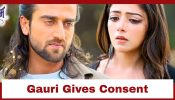 Jaadu Teri Nazar - Dayan Ka Mausam Upcoming Twist: Gauri gives her consent to marriage; pre-wedding rituals to start 940340