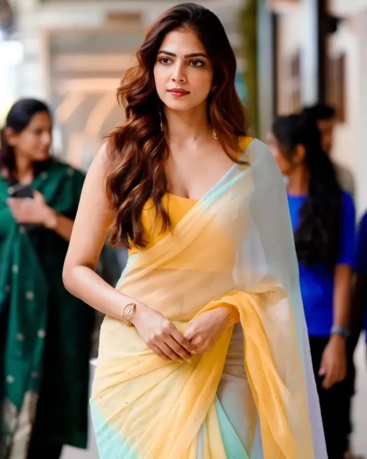 Malavika Mohanan Slays In Filmy Chiffon Saree With Sleeveless Blouse – See Pics! 941834