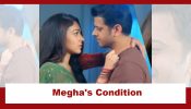 Megha Barsenge Upcoming Twist: Megha's condition to Arjun during Holi; Will Arjun fulfil Megha's desire? 940238