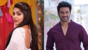 Niharika Chouksey And Sharad Kelkar Roped In For Zee TV's Next Tum Se Tum Tak 939466