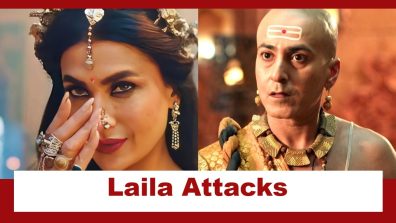 Tenali Rama Upcoming Twist: Laila attacks Krishnadevaraya; Can Rama save him?