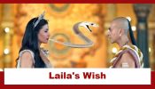 Tenali Rama Upcoming Twist: Laila's special Rangpanchami wish; Rama gets suspicious 940890