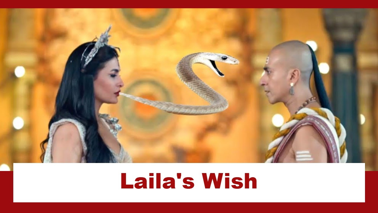 Tenali Rama Upcoming Twist: Laila's special Rangpanchami wish; Rama gets suspicious 940890