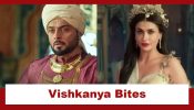 Tenali Rama Upcoming Twist: OMG!! Vishkanya bites Timmarasu; Will he survive? 940413