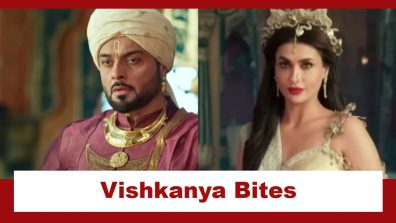 Tenali Rama Upcoming Twist: OMG!! Vishkanya bites Timmarasu; Will he survive?